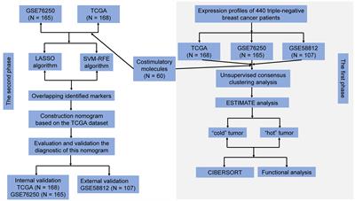 Integrating machine learning algorithms and multiple immunohistochemistry validation to unveil novel diagnostic markers based on costimulatory molecules for predicting immune microenvironment status in triple-negative breast cancer